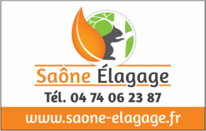 Saône élégage
